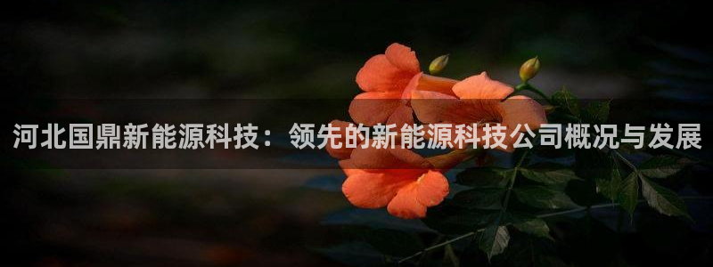 sunbething怎么读