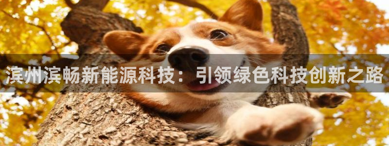 sunbet官网手机版登录