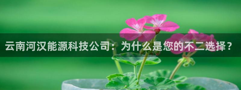 sunbet手机网页版