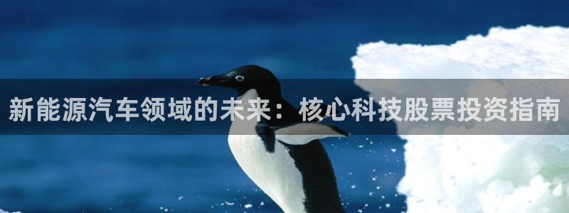sunbet燃气灶