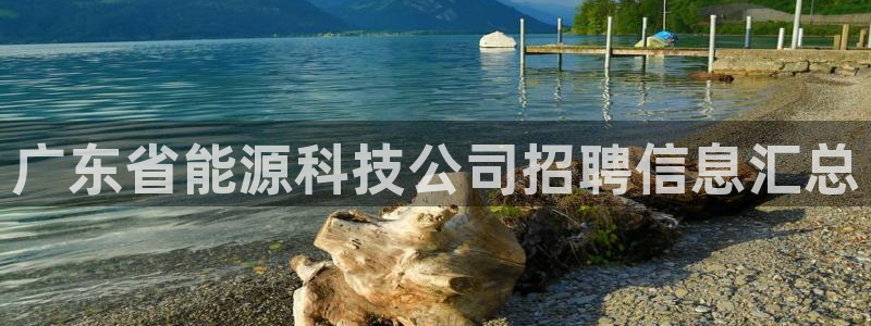 申博手机版app下载