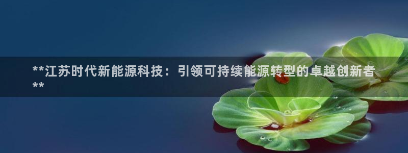 sunbet官网手机版登录