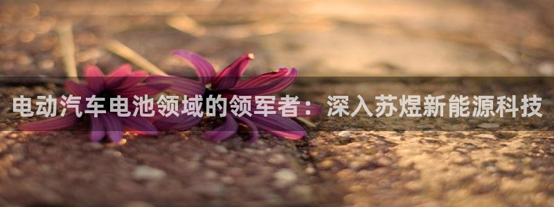 sunbet手机版官网下载