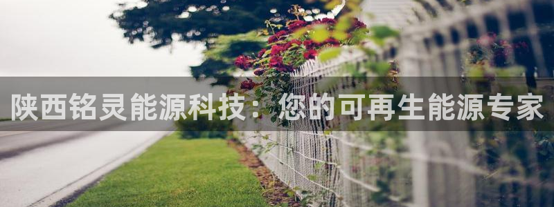 sunbet手机app版