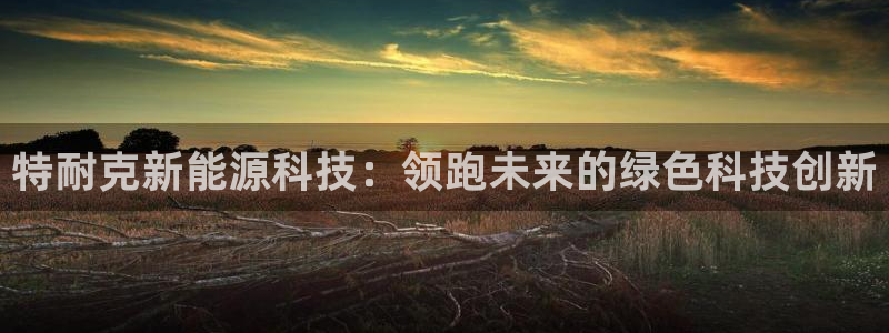 sunbet游戏地址