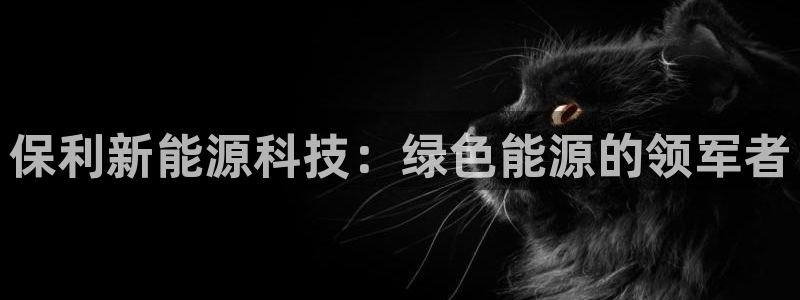 sunbet中文