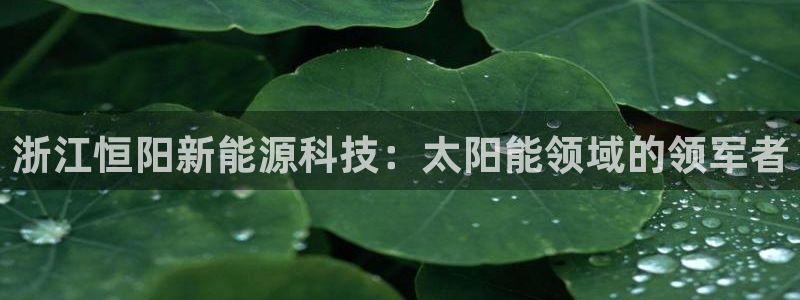 sunbet程序