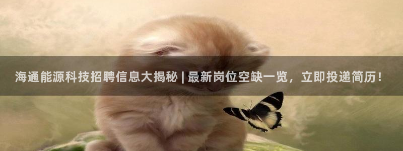 申博手机版官网