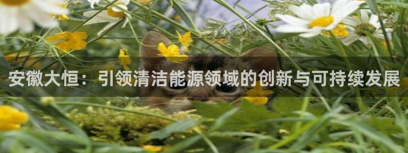 申博官网手机版下载app