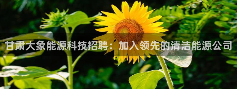 sunbet申搏地址