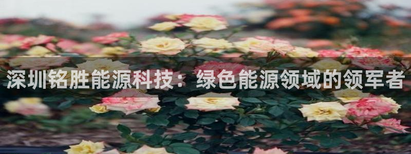 申博手机版官网