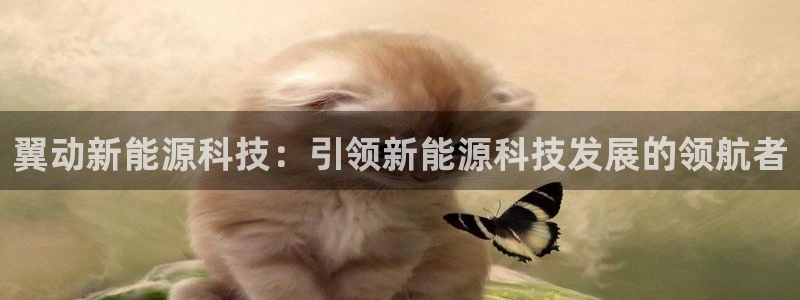 sunbet游戏官网