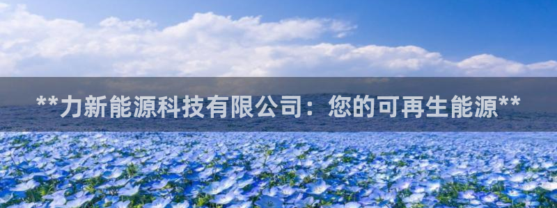 sunbet程序