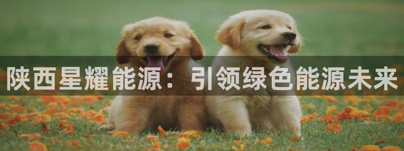 申博官方网站手机版下载