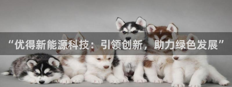 申博官网电脑版下载