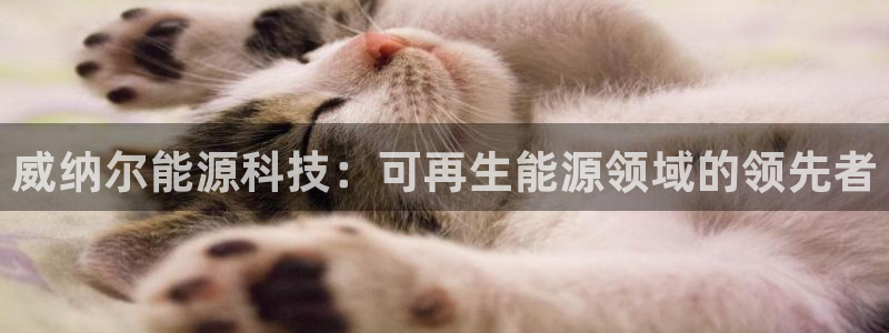 sunbet中文
