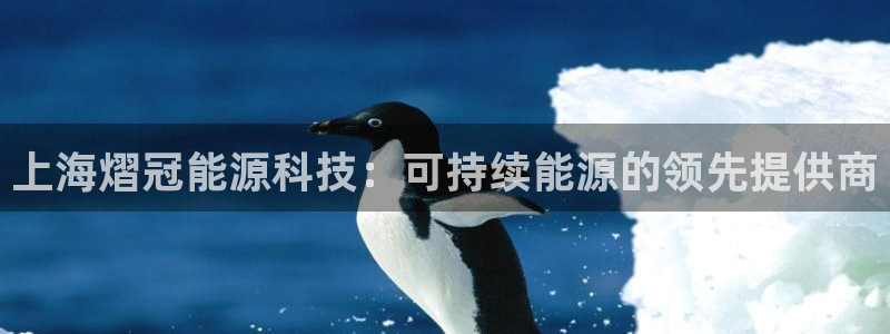 sunbet英语翻译