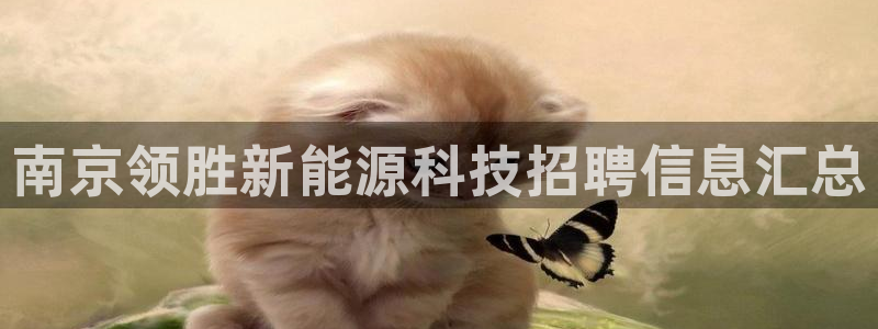申慱sunbet手机版登