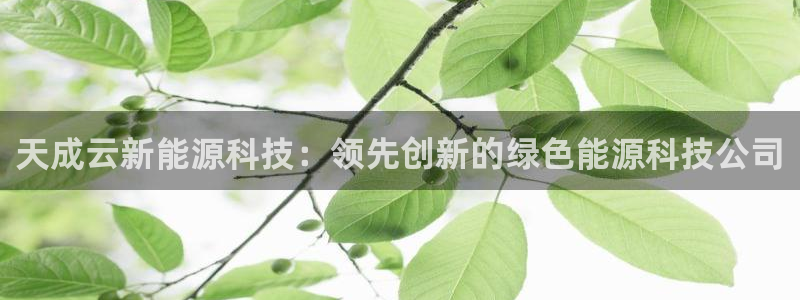sunbet申搏地址