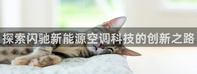 sunbet苹果app