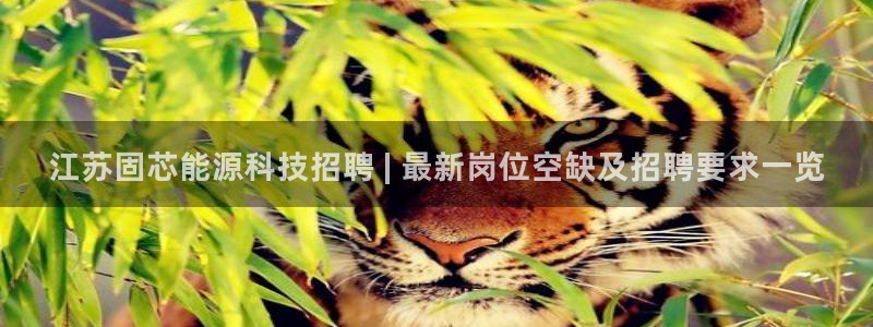 申博官方网站
