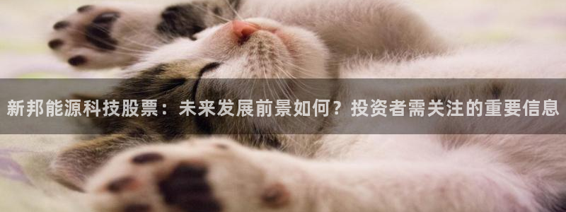 sunbet官网登录首页