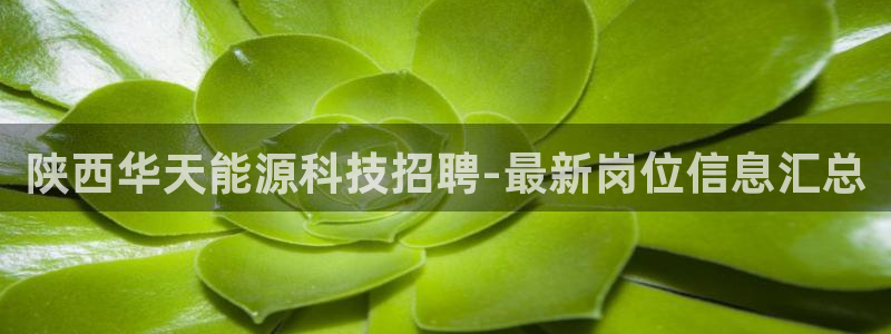 申博官方网站手机版下载