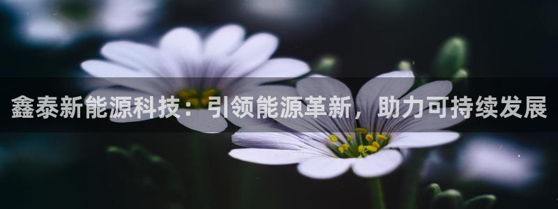 申博手机版官网