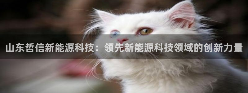 sunbet游戏地址