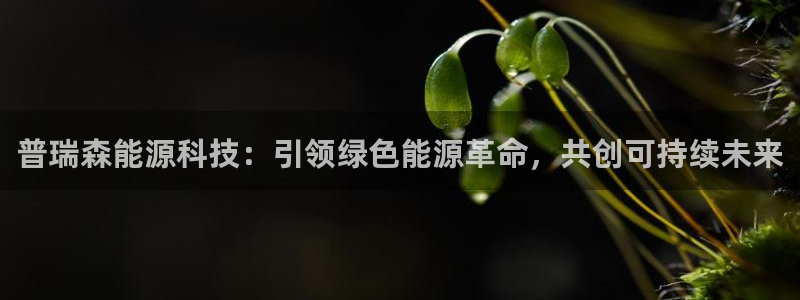 申慱sunbet手机版登