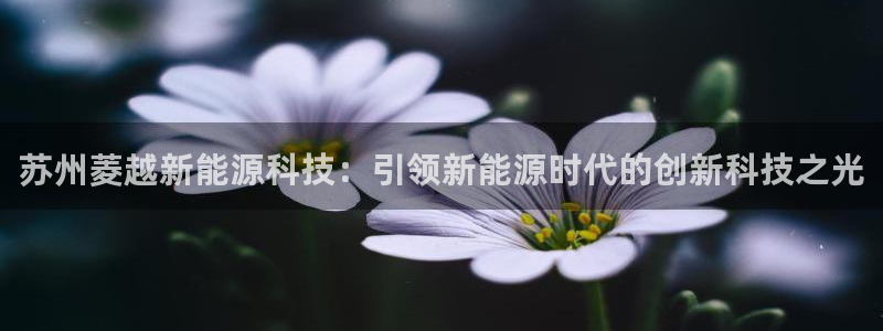 sunbet中文