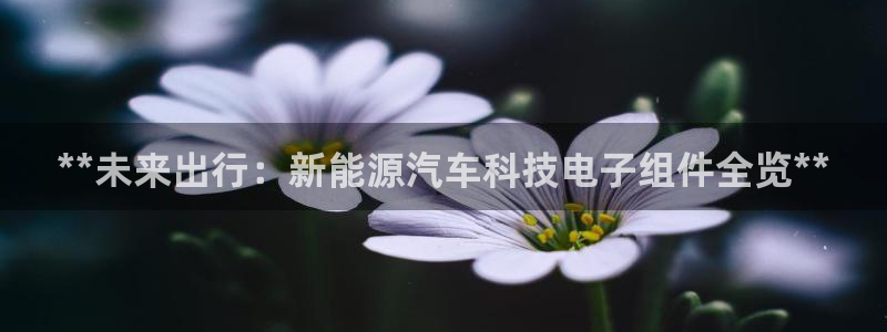申博手机版官网