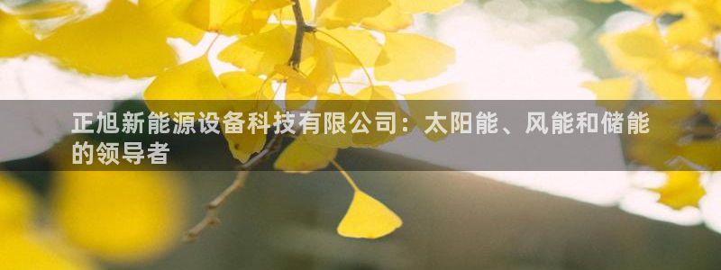 下载申搏sunbet并安装app