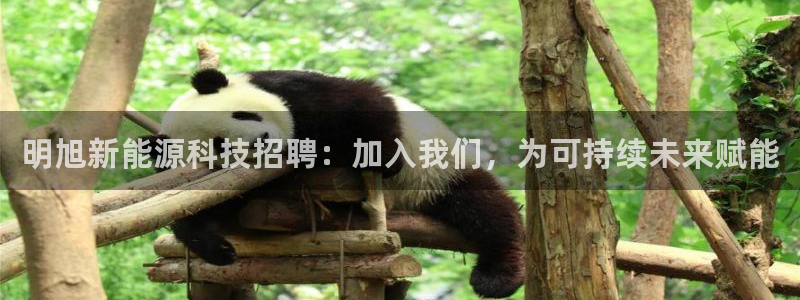 sunbet官网登录首页