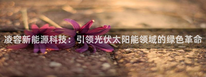 进入sunbet官网手机版登陆