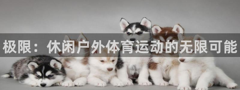 bbin视讯